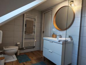 a bathroom with a toilet and a mirror at Csergeteg Családi szállás in Ciceu