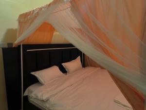 a bed with a canopy and two pillows at Ark House in Soroti