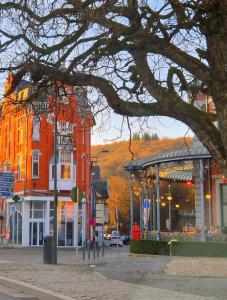 a street in a town with buildings and a tree at Studio Belle-Vue in Spa