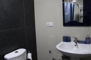 a bathroom with a sink and a toilet and a mirror at Hotel Bobline 304 in Bakuriani +9 photos