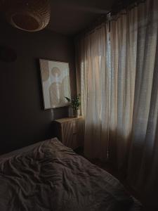 a bedroom with a bed and a window with curtains at Cozy Apartment - Netflix & Free parking in Žilina
