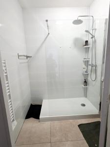 a bathroom with a shower with a glass door at Chambre 1 in Toulouse