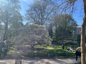 a park with people sitting in the grass and a tree at Charming modern apartment in the heart of Antwerp with optional private parking in Antwerp
