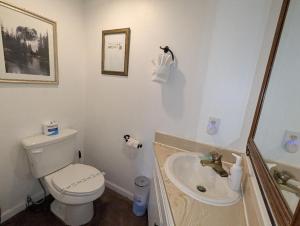 a bathroom with a toilet and a sink at Snow Summit Townhouse Unit 09 in Big Bear Lake
