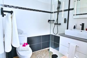 a bathroom with a toilet and a sink at Cottage Vanda in Le Moule +11 photos