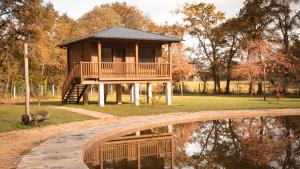 a small wooden house with a deck next to a body of water at Pensión Cabañas Bosque Máxico de Bonxe in Outeiro de Rei