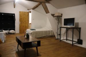 a living room with a bed and a tv at Appartement indépendant in Aux-Aussat