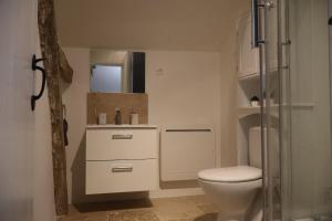 a white bathroom with a toilet and a mirror at Appartement indépendant in Aux-Aussat