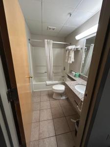a bathroom with a toilet and a sink at Park Inn in Colchester +9 photos
