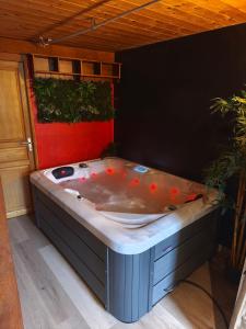 a large hot tub sitting in a room at Spa et Sauna Le Roosevelt in Château-Thierry