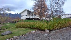 a house on a hill with a yard with plants at Lofoten, Markveien Villa in Kabelvåg