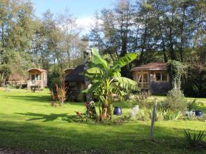 a house in a yard with a plant in the grass at Charmante Cabane 5 Pers, Chauffée - API-1-52-1704 in Champvert