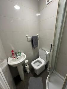 a bathroom with a toilet and a sink and a shower at Spacious Flat White City in London