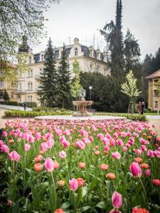 Zahrada ubytování Apartmány Kolonáda