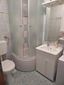 a bathroom with a shower and a toilet and a sink at Apartments Zoki in Vis +39 photos