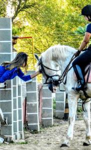 a young girl is petting a white horse at Estância Jockey Clube in Sao Jose do Rio Preto
