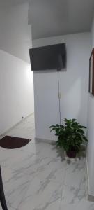 a room with a tv and a plant on a wall at Relax in El Cerrito
