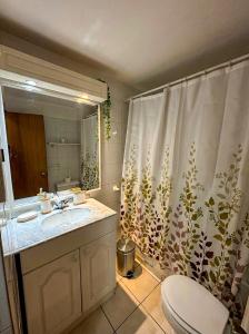 a bathroom with a sink and a toilet and a shower curtain at Departamento La Serena Vista al Mar in La Serena +7 photos