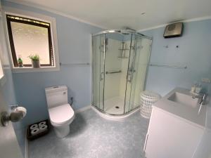 a bathroom with a shower and a toilet and a sink at Union Street Hideaway in Waihi +43 photos