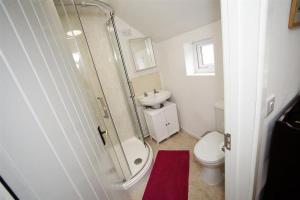 a bathroom with a shower and a toilet and a sink at 3 Bed in Swansea oc-hh405 in Llanmadoc +17 photos