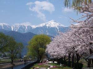 a group of trees with snow capped mountains in the background at ANFT-shiro in Azumino