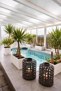 a swimming pool with palm trees in a building at HOTEL Amber Suite & SPA - Enklawa dla Dorosłych in Międzywodzie