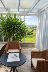 a table and chairs in a room with a plant at HOTEL Amber Suite & SPA - Enklawa dla Dorosłych in Międzywodzie