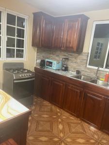 a kitchen with a stove and a sink and a microwave at Valley View Inn in Roseau +14 photos
