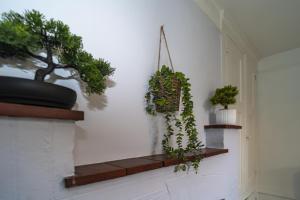 a wall with a bunch of potted plants on it at Upper Grosvenor Suite in Royal Tunbridge Wells +22 photos