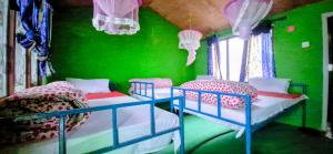 ein Zimmer mit drei Etagenbetten in einem grünen Zimmer in der Unterkunft Riverside hostel in Ghanpokhara