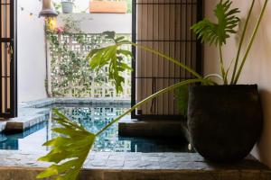 a pool with plants sitting next to a building at Casa EMMA Girardot in Girardot