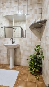 ein Badezimmer mit Waschbecken, Spiegel und einer Pflanze in der Unterkunft Pousada in Belém