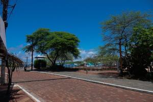 a brick road with trees on the side of a street at San Cristóbal Surf House II in San Cristóbal