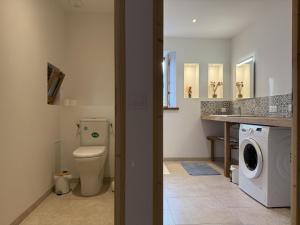 a bathroom with a toilet and a washer and dryer at Lo casalar in Noguères +41 photos