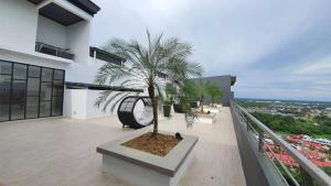 a palm tree on the balcony of a building at Hann's Residence Your second home in Sibu