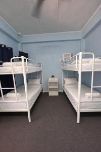 two bunk beds in a room with blue walls at Zen Hostel in Townsville