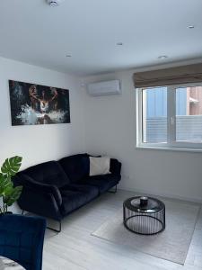 a living room with a black couch and a table at Sea Green House in Monciškės