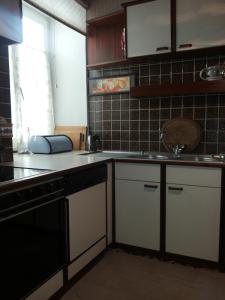 a kitchen with a sink and a dishwasher at Ferienwohnung in Krems-Stein/Donau in Krems an der Donau