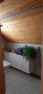 a bathroom with a wooden ceiling and a plant at Ferienwohnung Toggilodge in Unterwasser