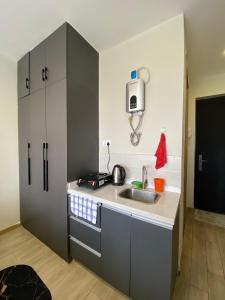 a small kitchen with a sink and a refrigerator at Staunch Homes Luxury Studio Apartment in Nairobi