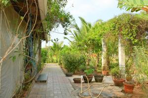 a garden with a walkway with potted plants at Mutram Heritage Stay in Kanchipuram