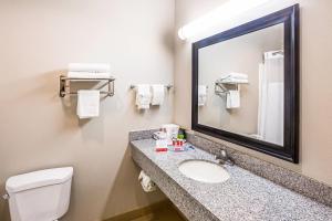 a bathroom with a toilet and a sink and a mirror at Econo Lodge Baton Rouge University Area in Baton Rouge +20 photos