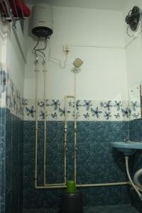a shower in a bathroom with a green wall at Shivalik stays in Jorhat +20 photos