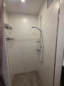 a shower with a glass door in a bathroom at Blick zur Burg in Nörten-Hardenberg +6 photos
