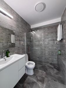a bathroom with a toilet and a sink and a shower at Urban garden loft 3 in Haifa