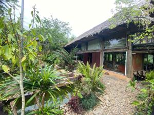 a house with a bunch of plants in front of it at Pam Hill in Bản Pha Xum