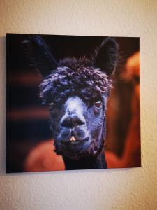 a picture of a llama head on a wall at Ferienwohnung Alpakahof in Kleinreinsdorf