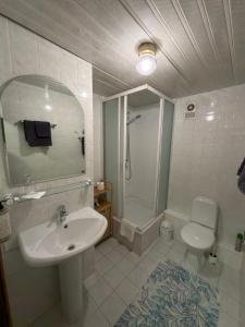 a bathroom with a sink and a shower and a toilet at Morena in Klaipėda +15 photos