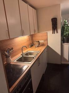 a kitchen with a sink and a counter top at Bauernhof Privatzimmer Free WiFi Gemeinschaftsbad in Hausbreitenbach