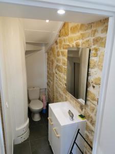a bathroom with a toilet and a sink and a mirror at RUFFEC 14 1D in Ruffec